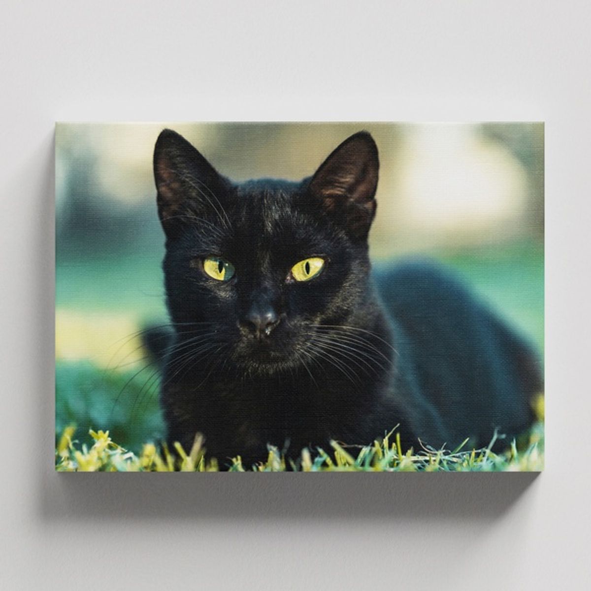 TAYRONA STORE - Cuadros Retablo Animales Gatos 561 - 50x35cm