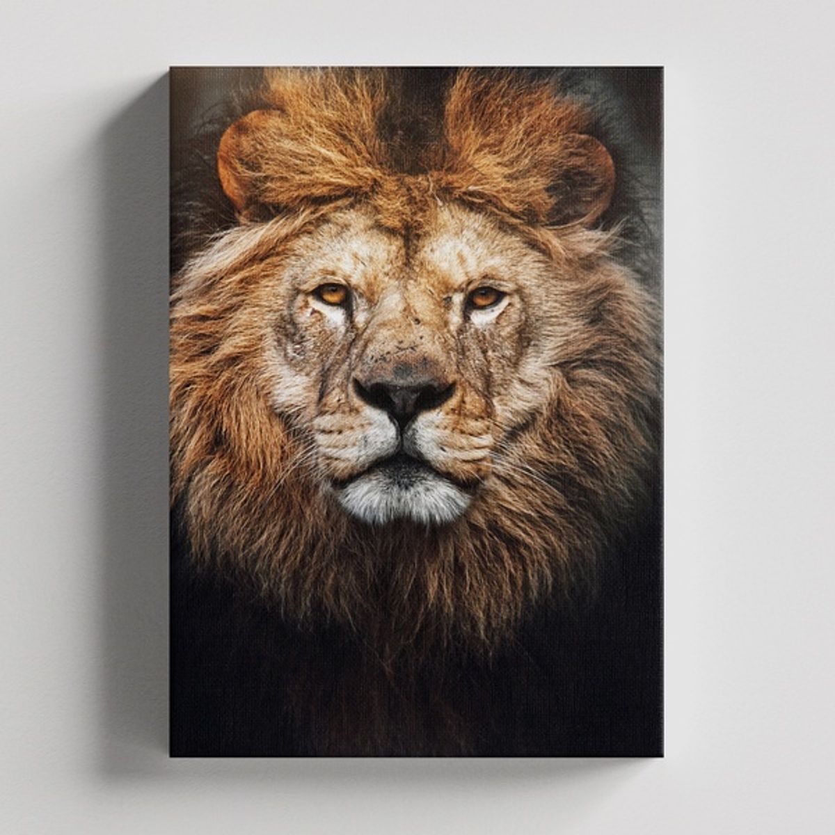 TAYRONA STORE - Cuadros Retablo Animales Leones Colores 205 - 35x50cm