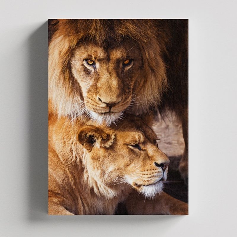 TAYRONA STORE - Cuadros Retablo Animales Leones Colores 219 - 35x50cm