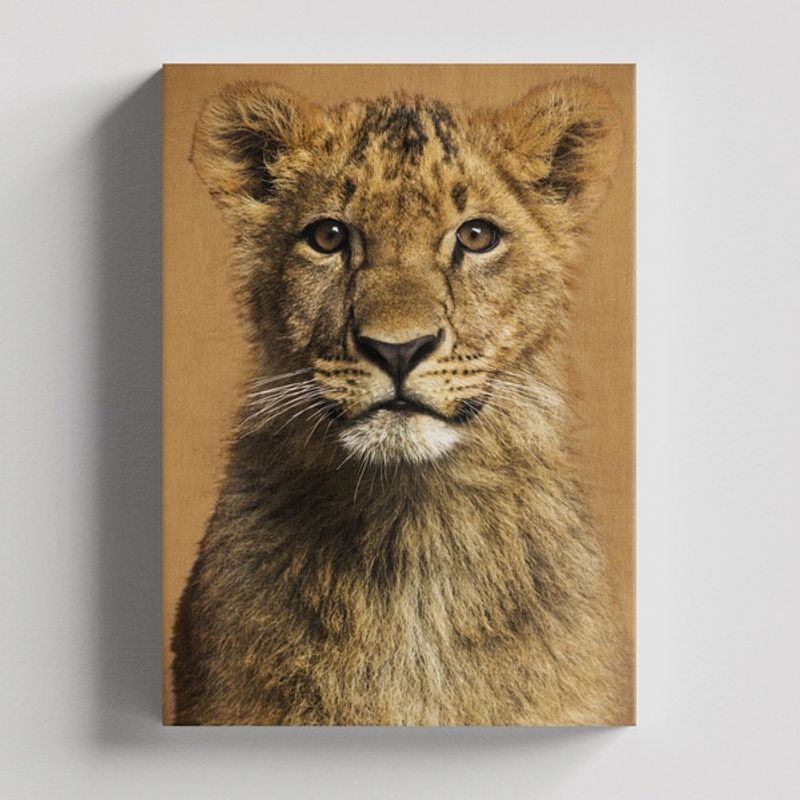 TAYRONA STORE - Cuadros Retablo Animales Leones Colores 239 - 35x50cm