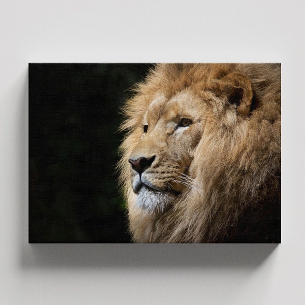 TAYRONA STORE - Cuadros Retablo Animales Leones Colores 288 - 50x35cm