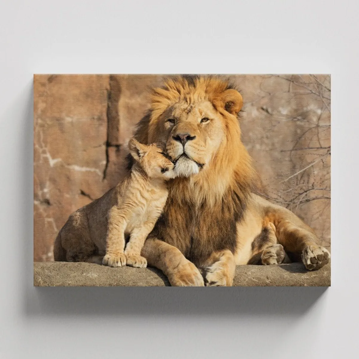 TAYRONA STORE - Cuadros Retablo Animales Leones Colores 291 - 50x35cm