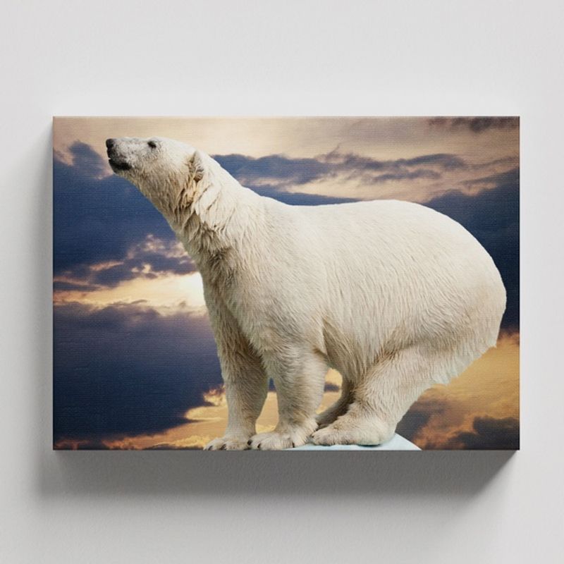 TAYRONA STORE - Cuadros Retablo Animales Osos 031 - 50x35cm
