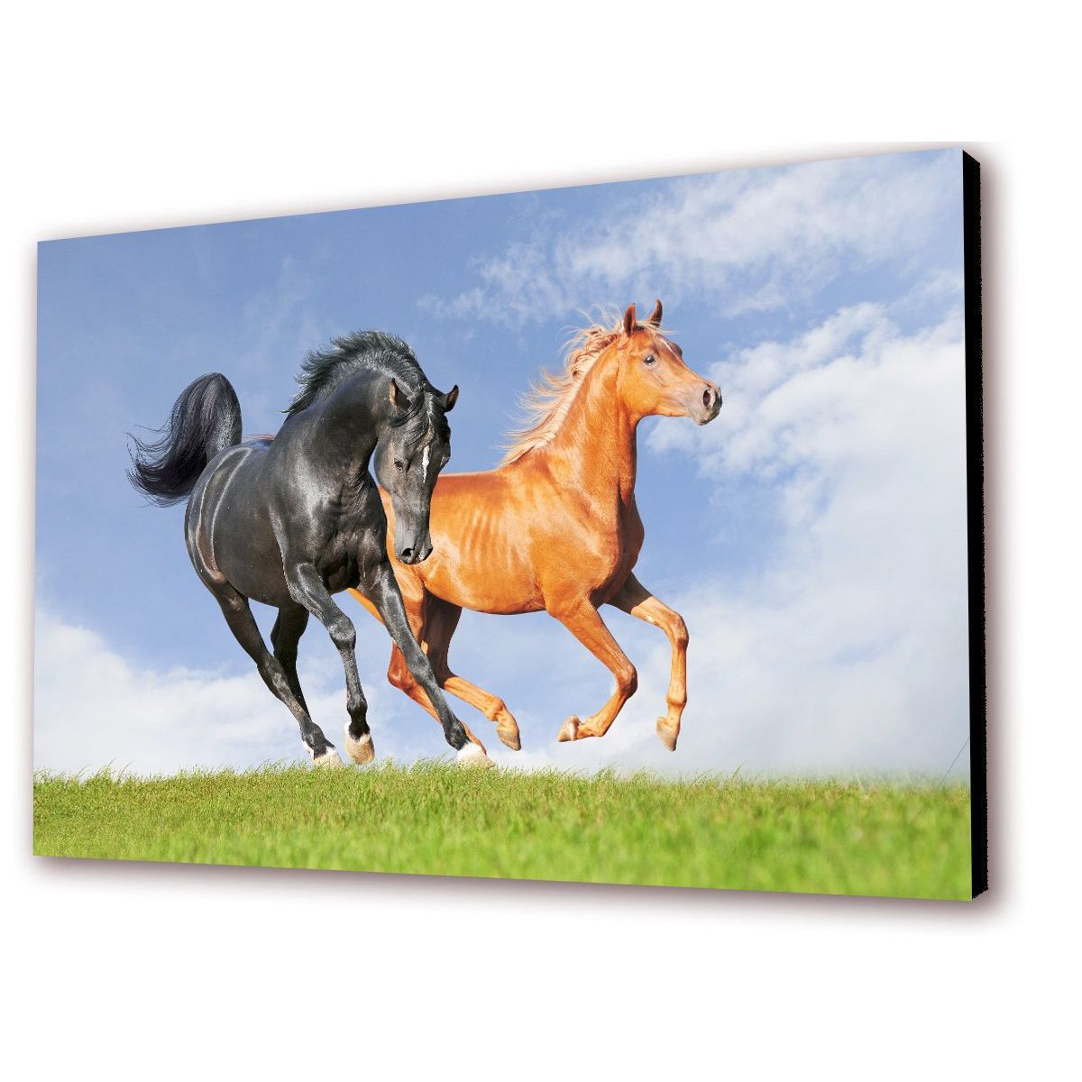ART INDUSTRY - Cuadro 50x30cms Decorativo Caballo 4