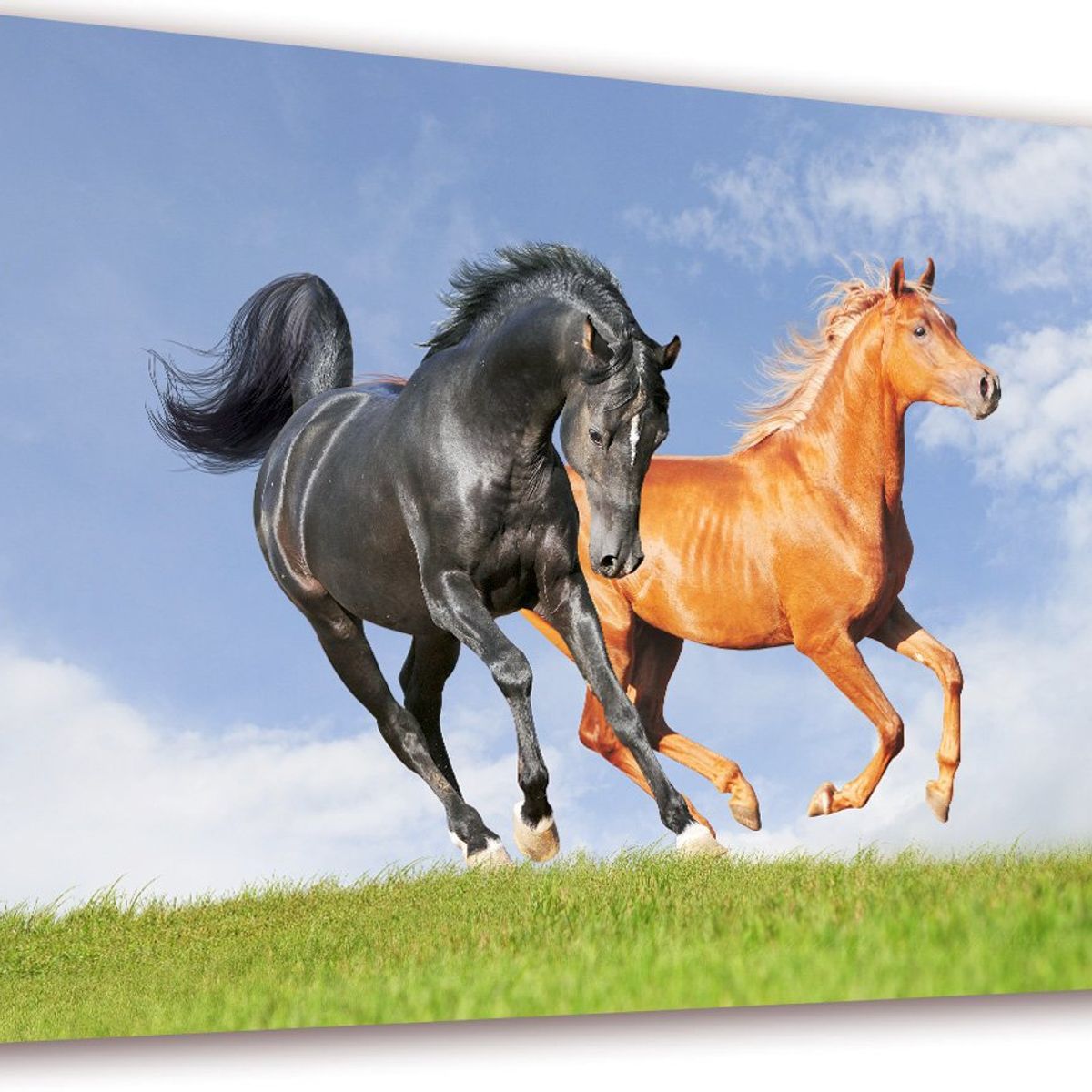 ART INDUSTRY - Cuadro 50x30cms Decorativo Caballo 4
