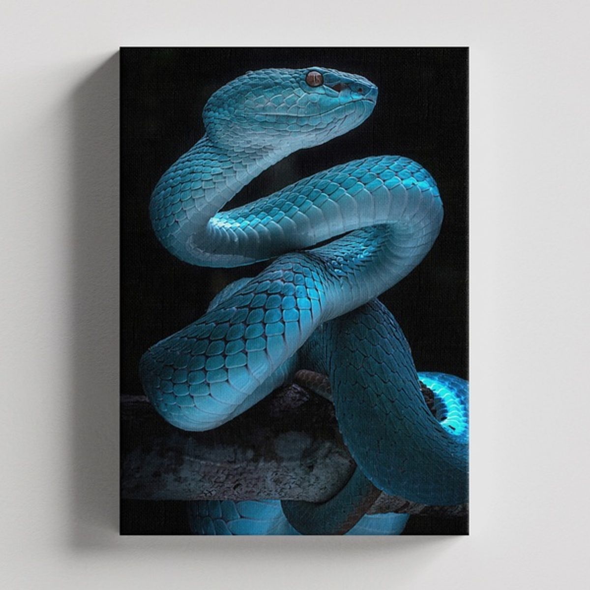 TAYRONA STORE - Cuadros Retablo Animales Serpientes 002 - 35x50cm