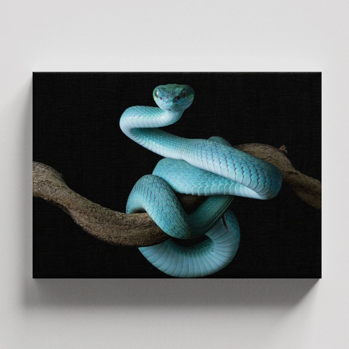 TAYRONA STORE - Cuadros Retablo Animales Serpientes 011 - 50x35cm