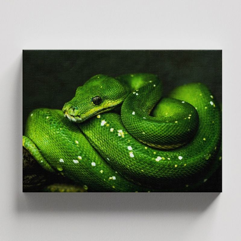 TAYRONA STORE - Cuadros Retablo Animales Serpientes 012 - 50x35cm