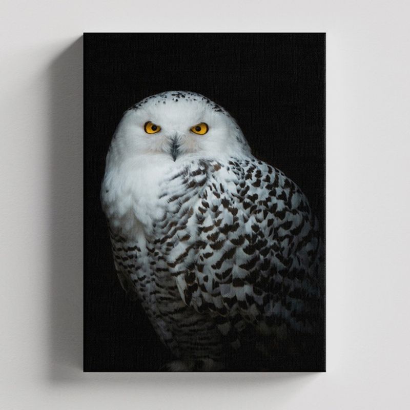 TAYRONA STORE - Cuadros Retablo Animales Buhos 034 - 35x50cm