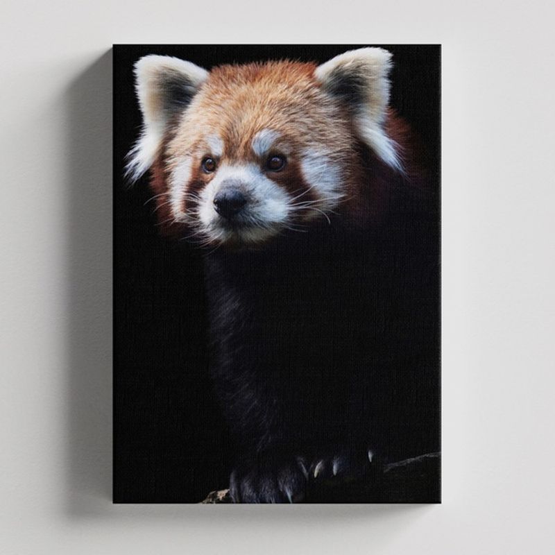 TAYRONA STORE - Cuadros Retablo Animales Pandas 005 - 35x50cm