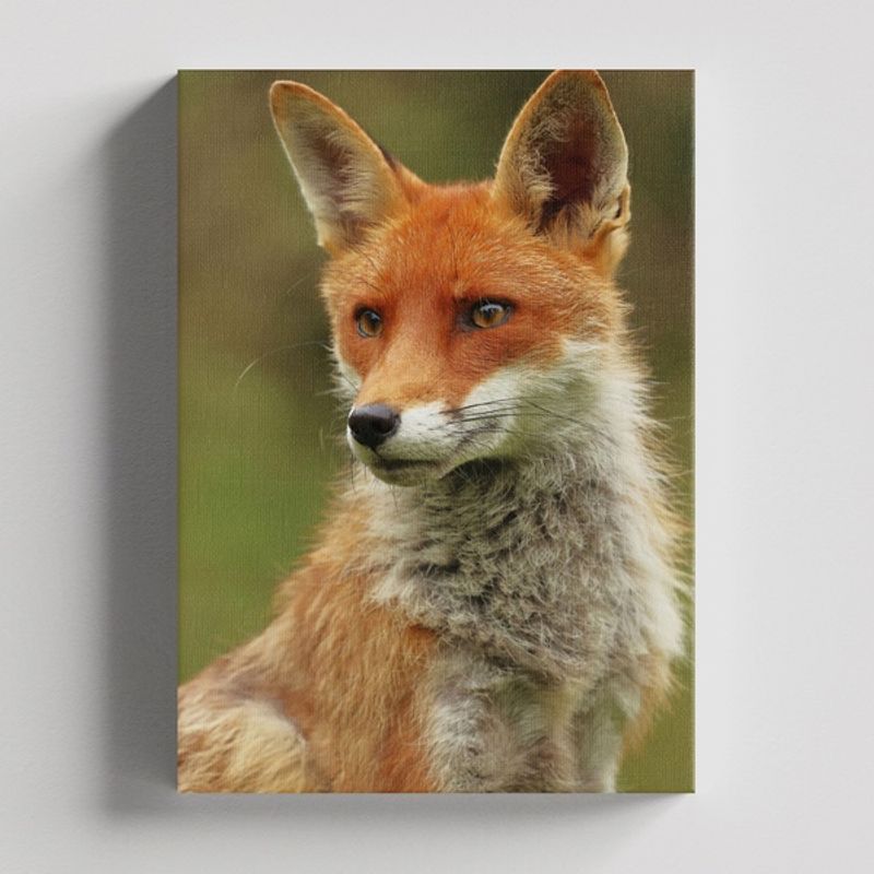 TAYRONA STORE - Cuadros Retablo Animales Zorro 044 - 35x50cm