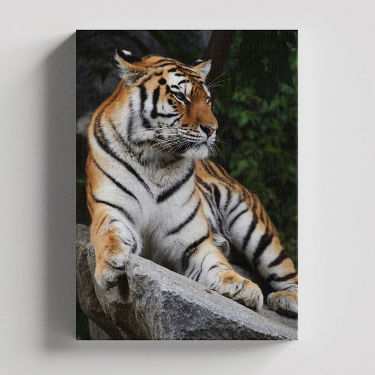 TAYRONA STORE - Cuadros Retablo Animales Tigres Colores 185 - 35x50cm