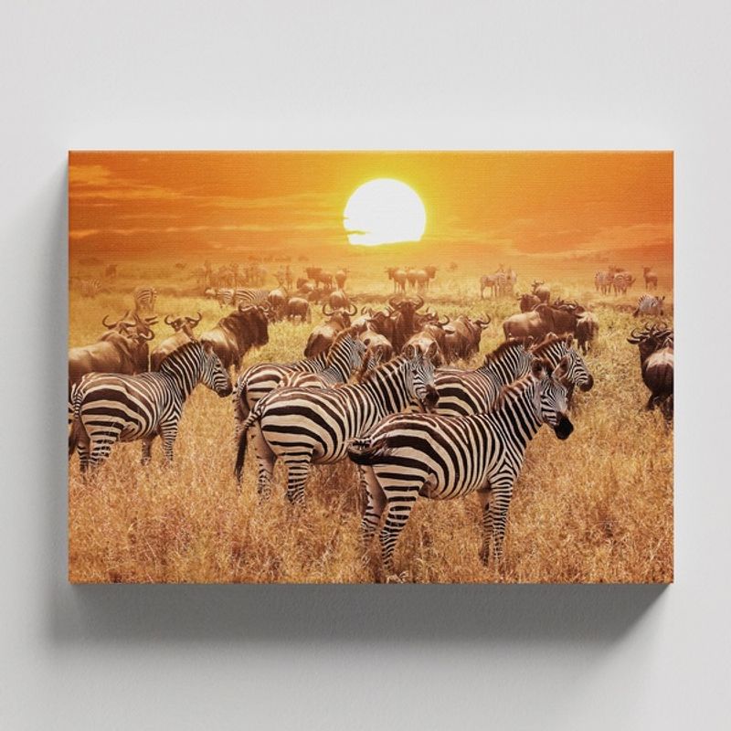 TAYRONA STORE - Cuadros Retablo Animales Cebras 061 - 50x35cm