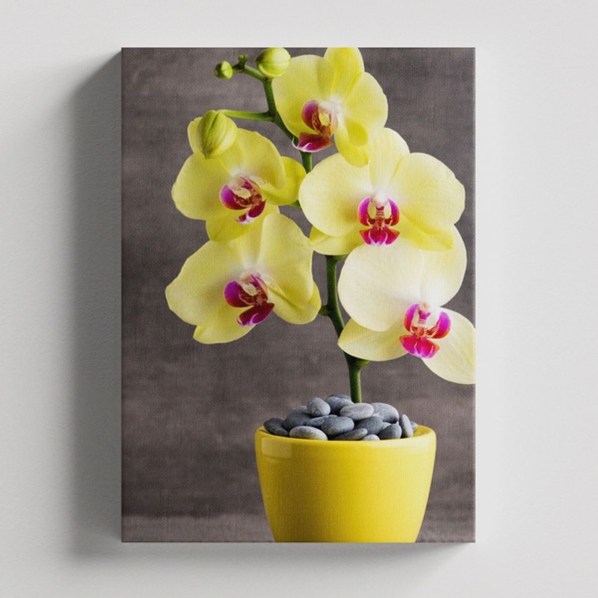 TAYRONA STORE - Cuadros Retablo Flores Y Plantas 009 - 35x50cm