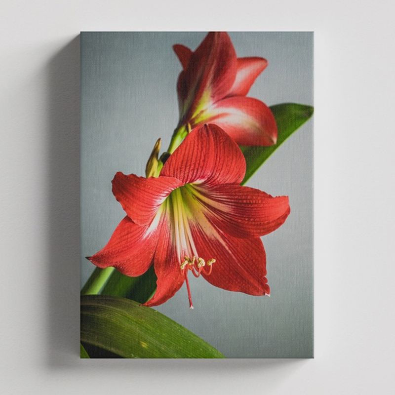 TAYRONA STORE - Cuadros Retablo Flores Y Plantas 032 - 35x50cm