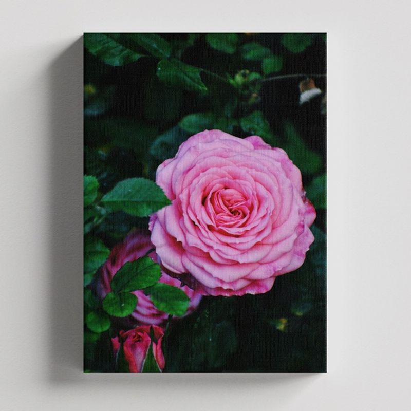 TAYRONA STORE - Cuadros Retablo Flores Y Plantas 033 - 35x50cm