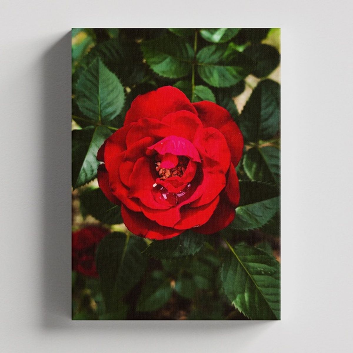 TAYRONA STORE - Cuadros Retablo Flores Y Plantas 042 - 35x50cm