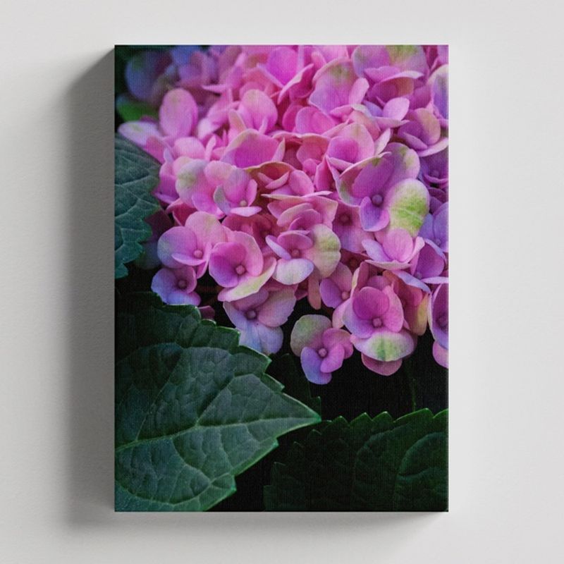 TAYRONA STORE - Cuadros Retablo Flores Y Plantas 054 - 35x50cm