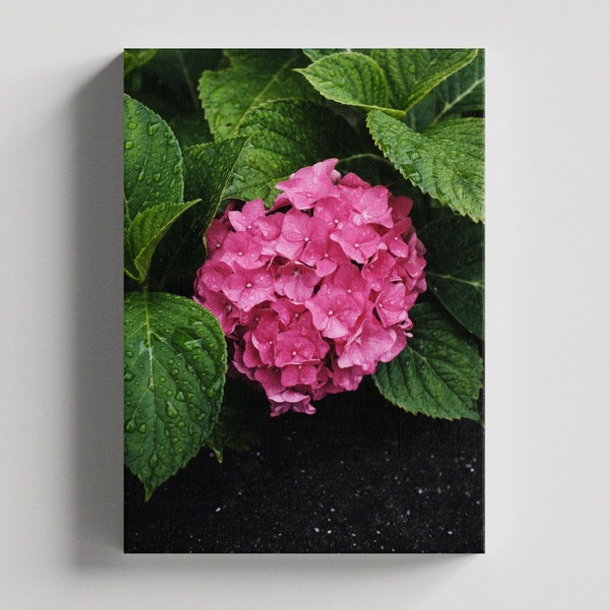 TAYRONA STORE - Cuadros Retablo Flores Y Plantas 058 - 35x50cm