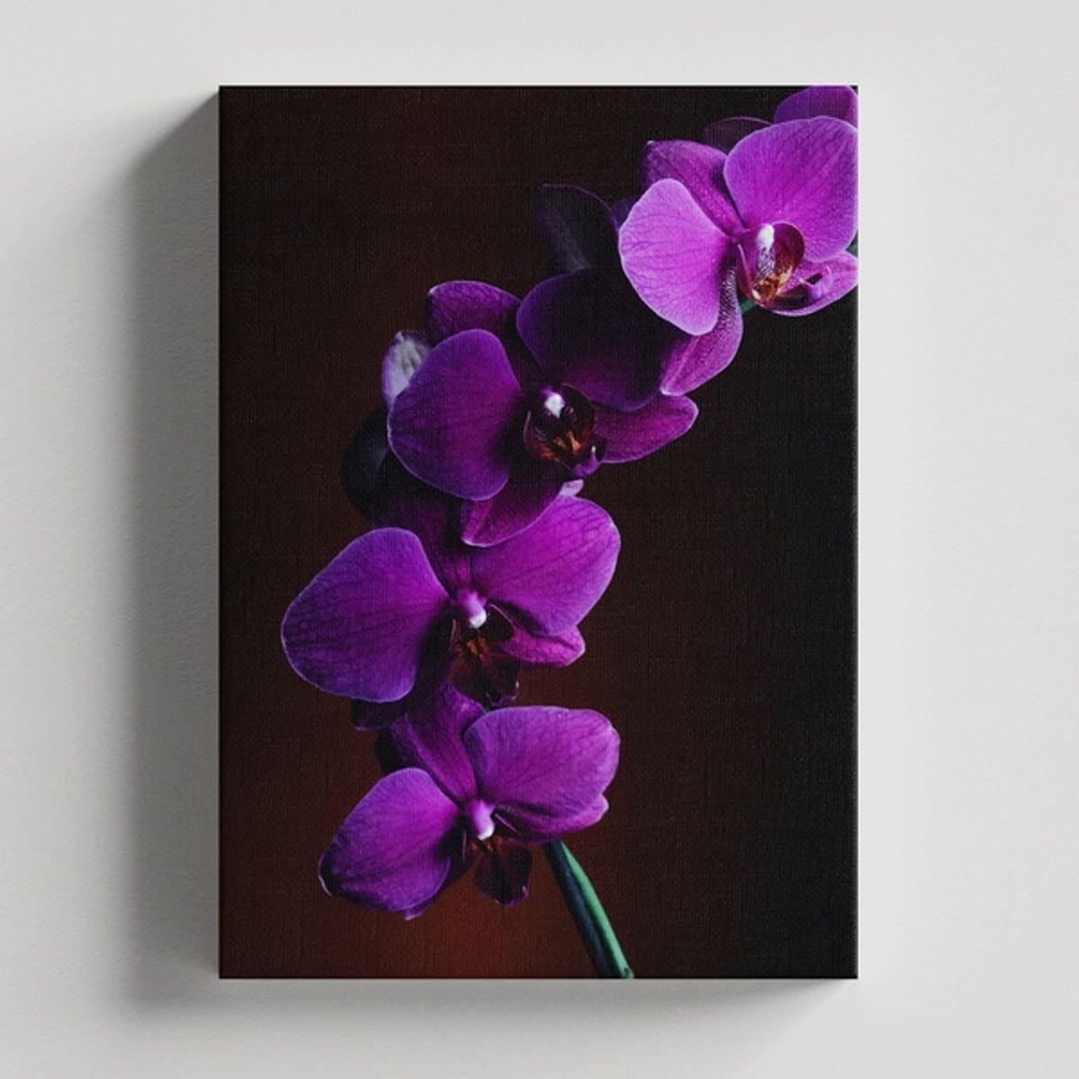 TAYRONA STORE - Cuadros Retablo Flores Y Plantas 070 - 35x50cm