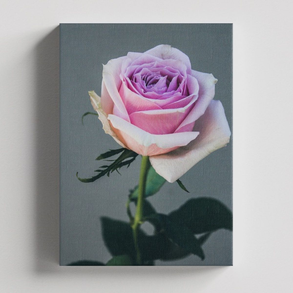 TAYRONA STORE - Cuadros Retablo Flores Y Plantas 071 - 35x50cm