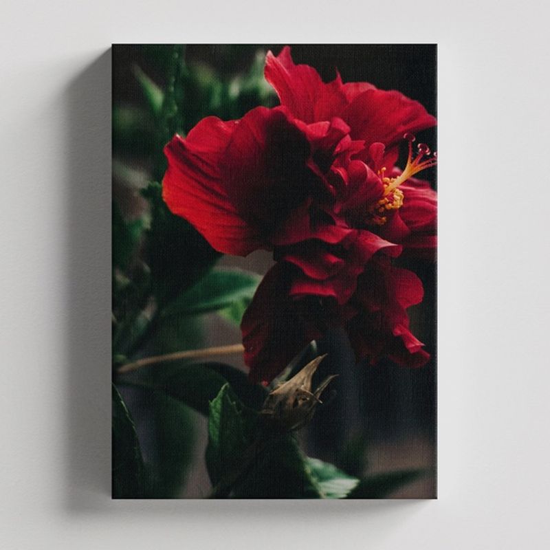 TAYRONA STORE - Cuadros Retablo Flores Y Plantas 092 - 35x50cm
