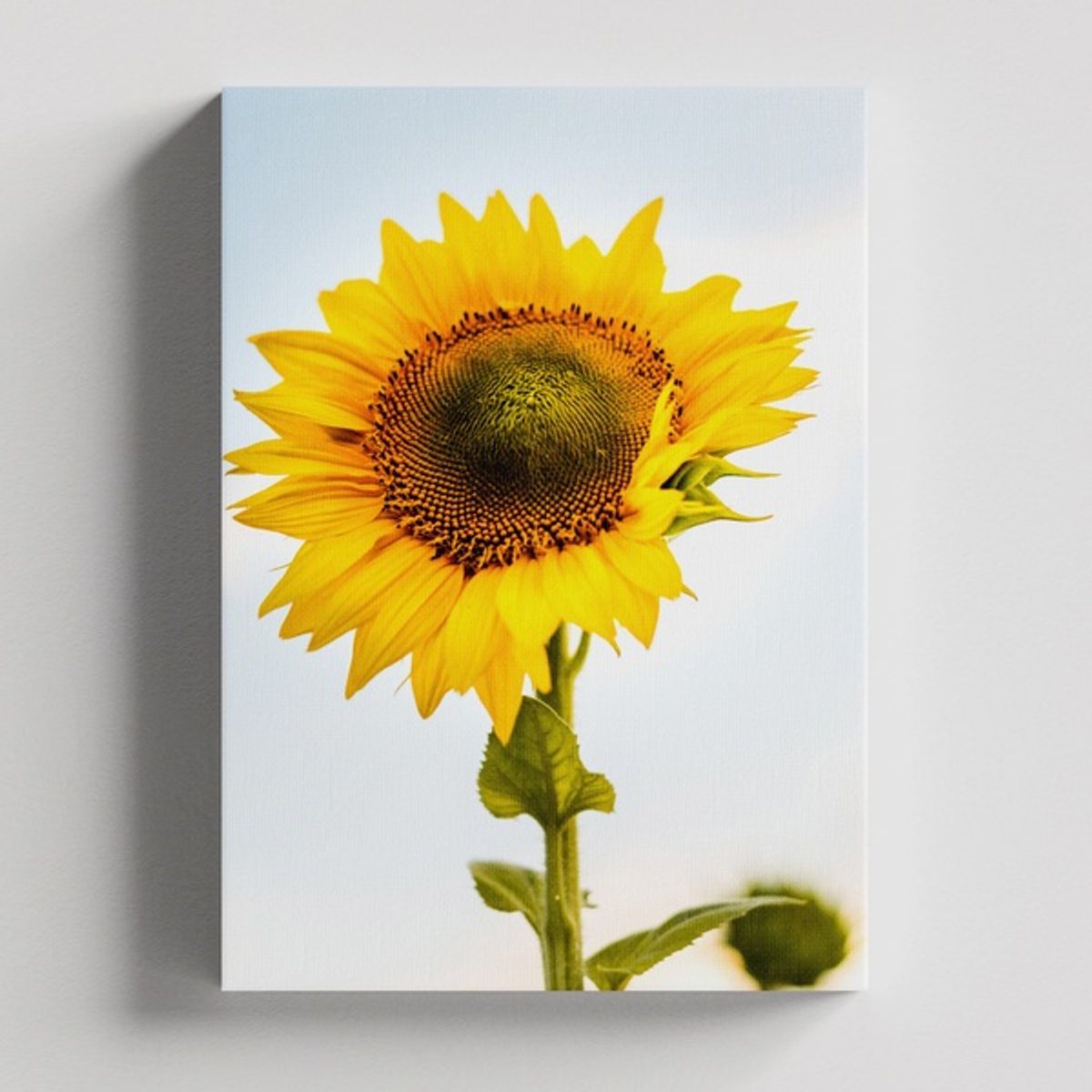 TAYRONA STORE - Cuadros Retablo Flores Y Plantas 124 - 35x50cm