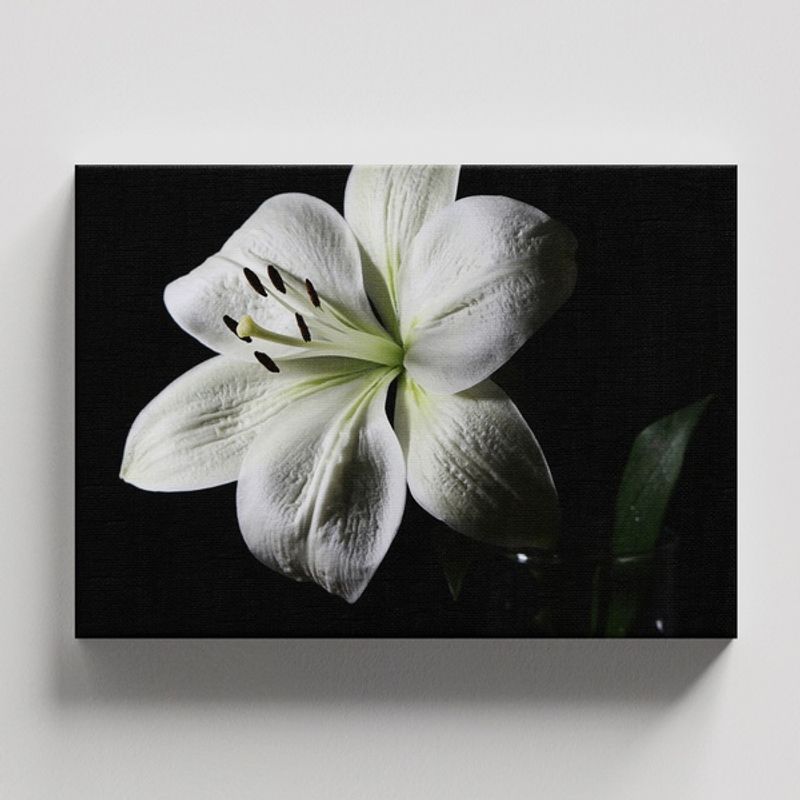 TAYRONA STORE - Cuadros Retablo Flores Y Plantas 144 - 50x35cm
