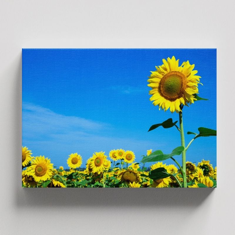 TAYRONA STORE - Cuadros Retablo Flores Y Plantas 204 - 50x35cm