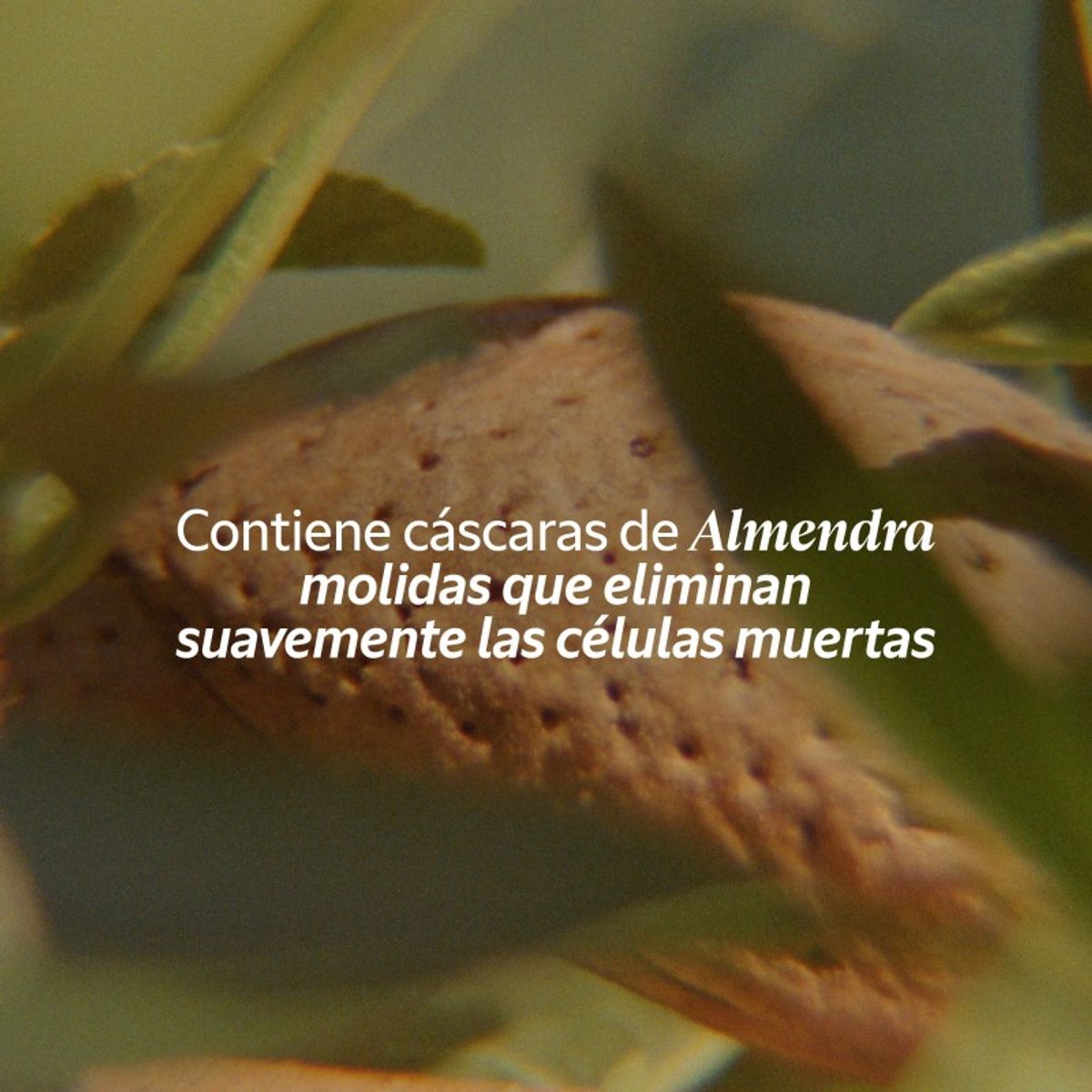 LOCCITANE - Jabón exfoliante de Almendras 50g