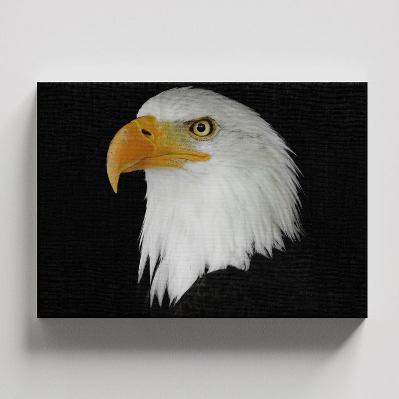 TAYRONA STORE - Cuadros Retablo Animales Aguilas 012 - 50x35cm