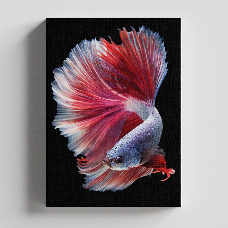 TAYRONA STORE - Cuadros Retablo Animales Acuaticos 007 - 35x50cm