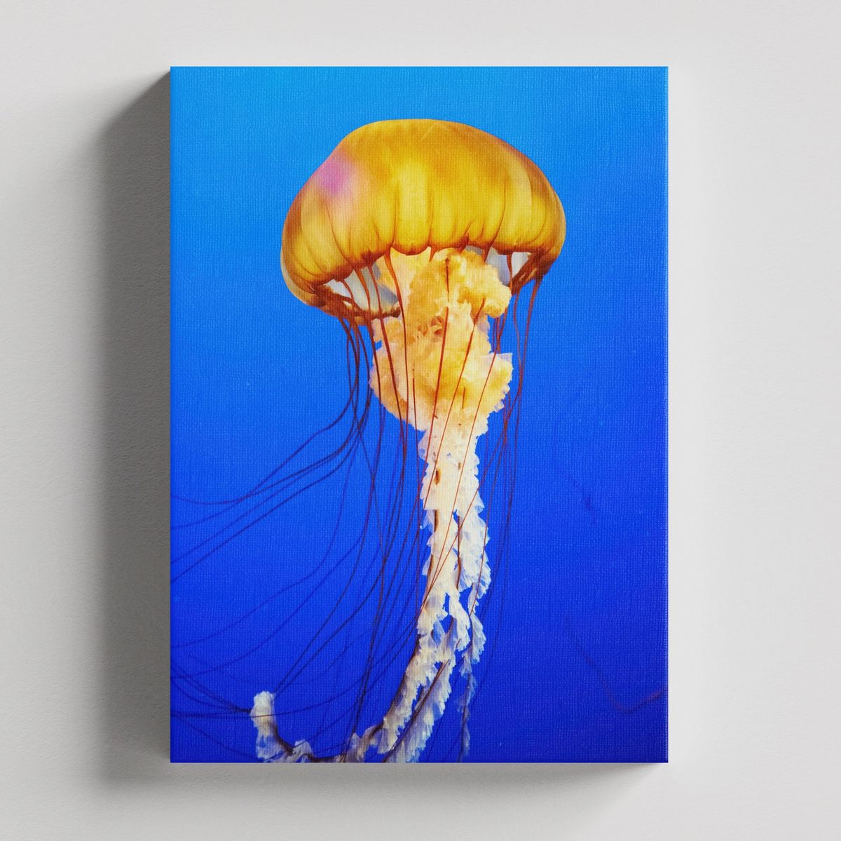 TAYRONA STORE - Cuadros Retablo Animales Acuaticos 010 - 35x50cm