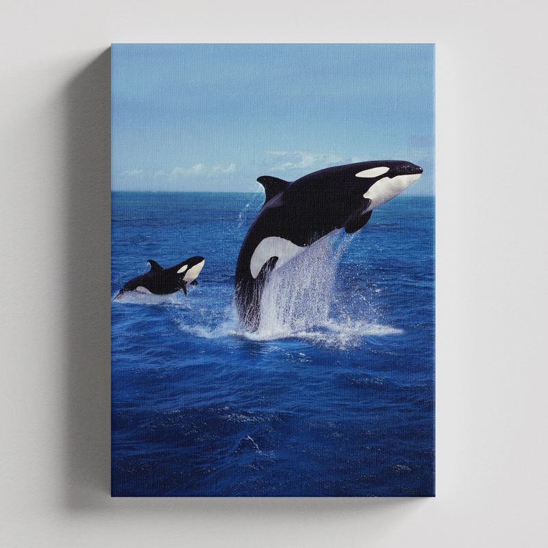 TAYRONA STORE - Cuadros Retablo Animales Acuaticos 013 - 35x50cm