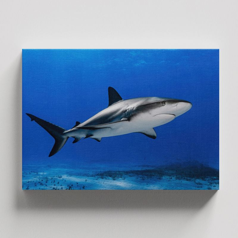 TAYRONA STORE - Cuadros Retablo Animales Acuaticos 019 - 50x35cm