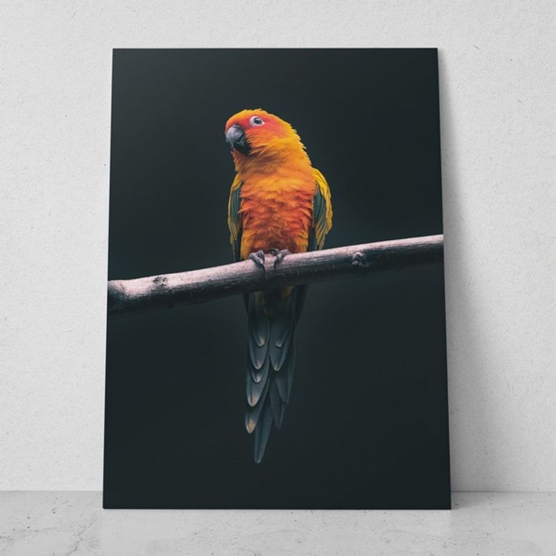 TAYRONA STORE - Cuadros Retablo Animales Pajaros 095 - 35x50cm