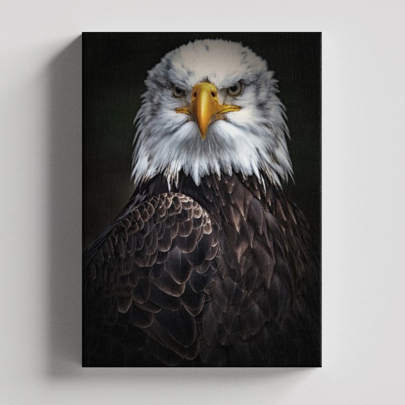 TAYRONA STORE - Cuadros Retablo Animales Aguilas 004 - 35x50cm