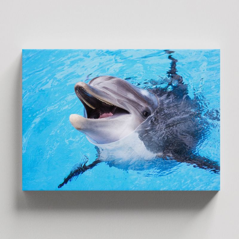 TAYRONA STORE - Cuadros Retablo Animales Acuaticos 022 - 50x35cm