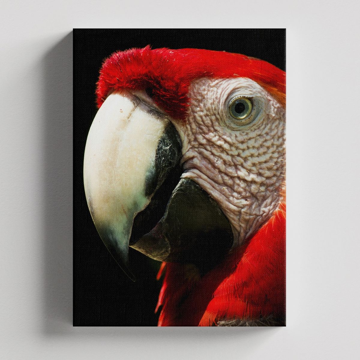 TAYRONA STORE - Cuadros Retablo Animales Arañas 008 - 35x50cm