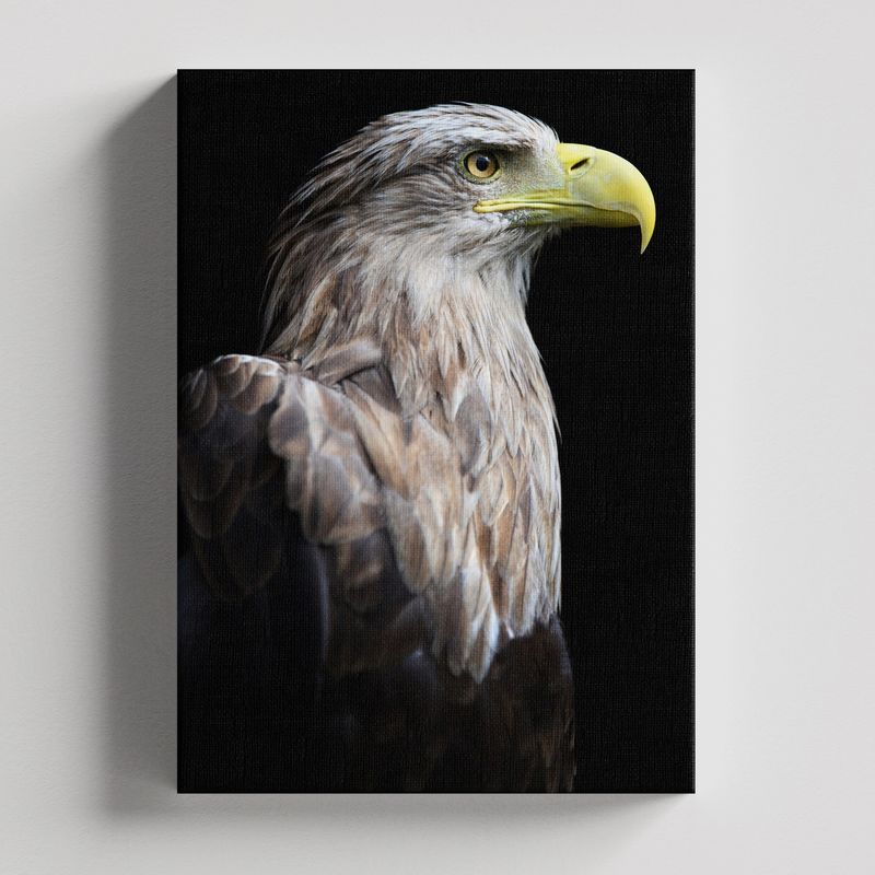 TAYRONA STORE - Cuadros Retablo Animales Aguilas 005 - 35x50cm
