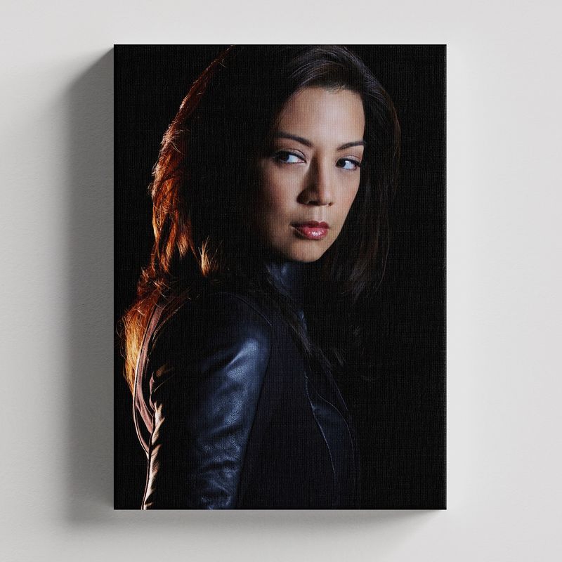 TAYRONA STORE - Cuadros Retablo Marvel Agentes da SHIELD 012 - 35x50cm