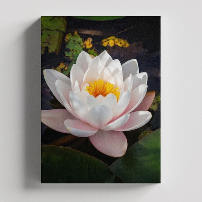 TAYRONA STORE - Cuadros Retablo Flores Y Plantas 103 - 35x50cm