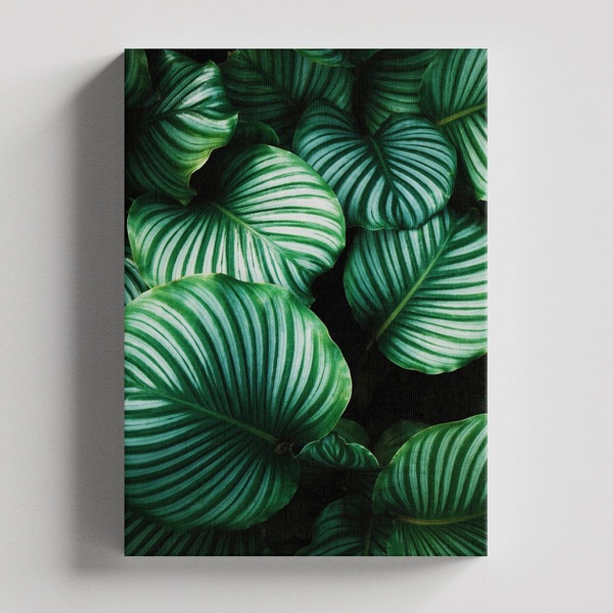 TAYRONA STORE - Cuadros Retablo Flores Y Plantas 127 - 35x50cm