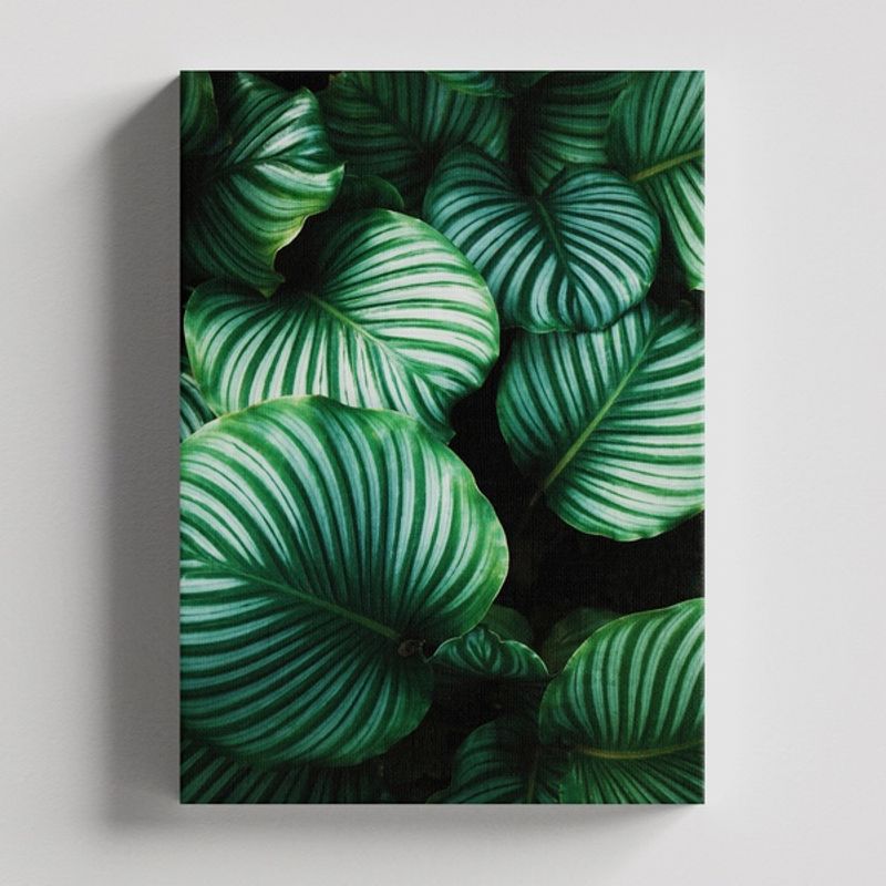 TAYRONA STORE - Cuadros Retablo Flores Y Plantas 127 - 35x50cm