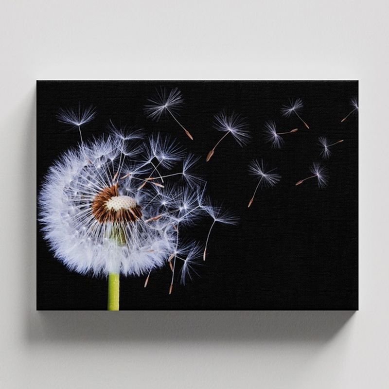 TAYRONA STORE - Cuadros Retablo Flores Y Plantas 140 - 50x35cm