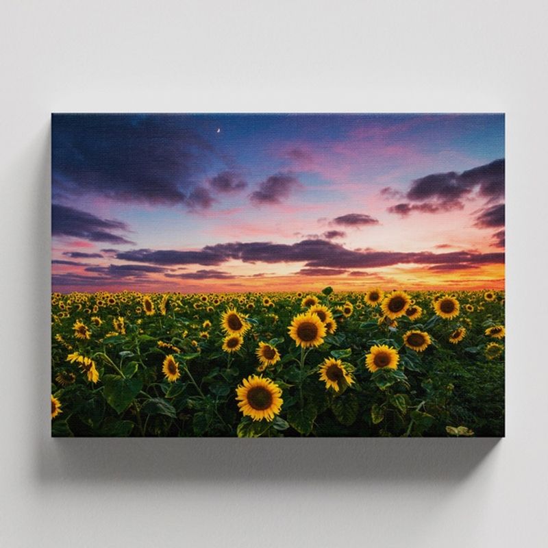 TAYRONA STORE - Cuadros Retablo Flores Y Plantas 205 - 50x35cm