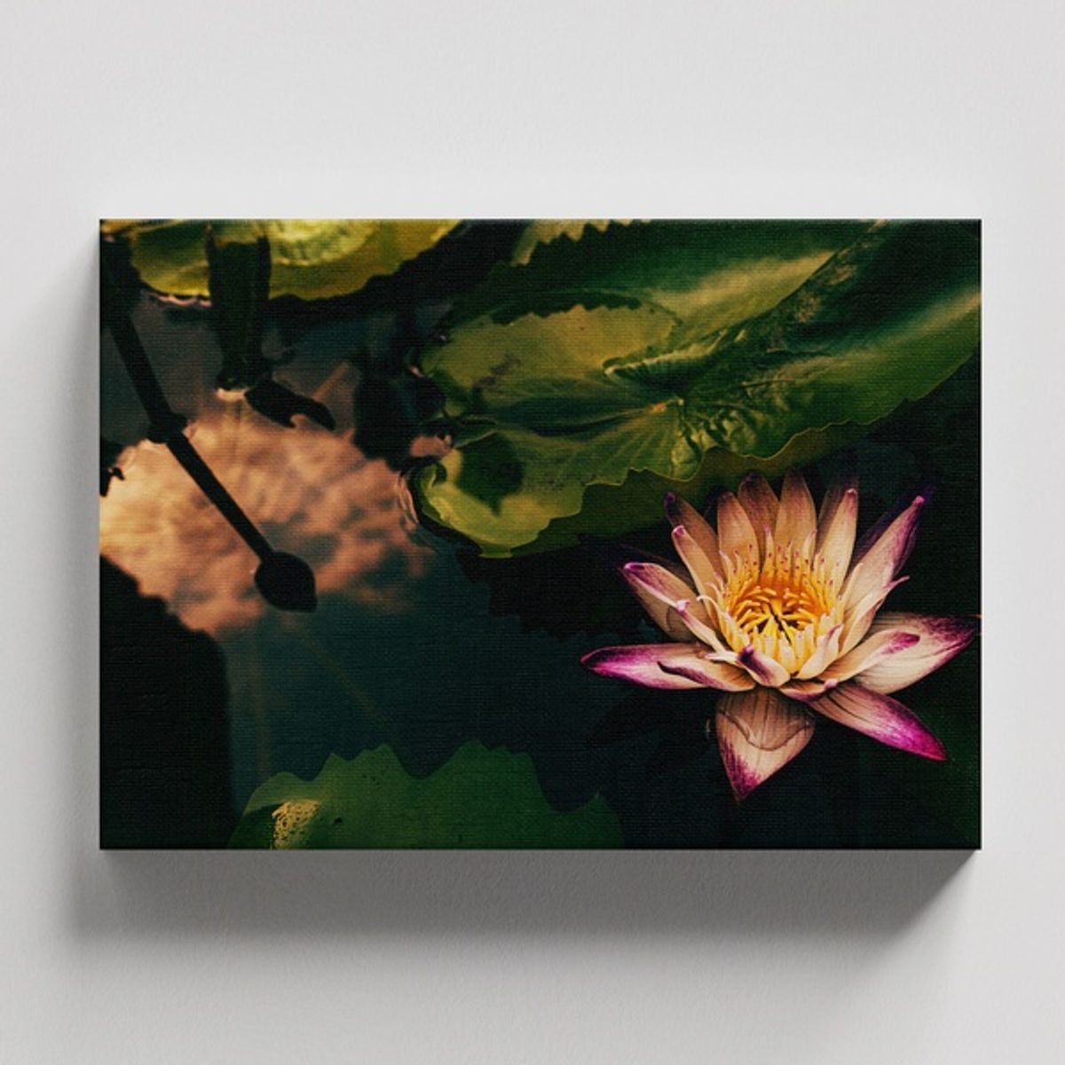 TAYRONA STORE - Cuadros Retablo Flores Y Plantas 198 - 50x35cm