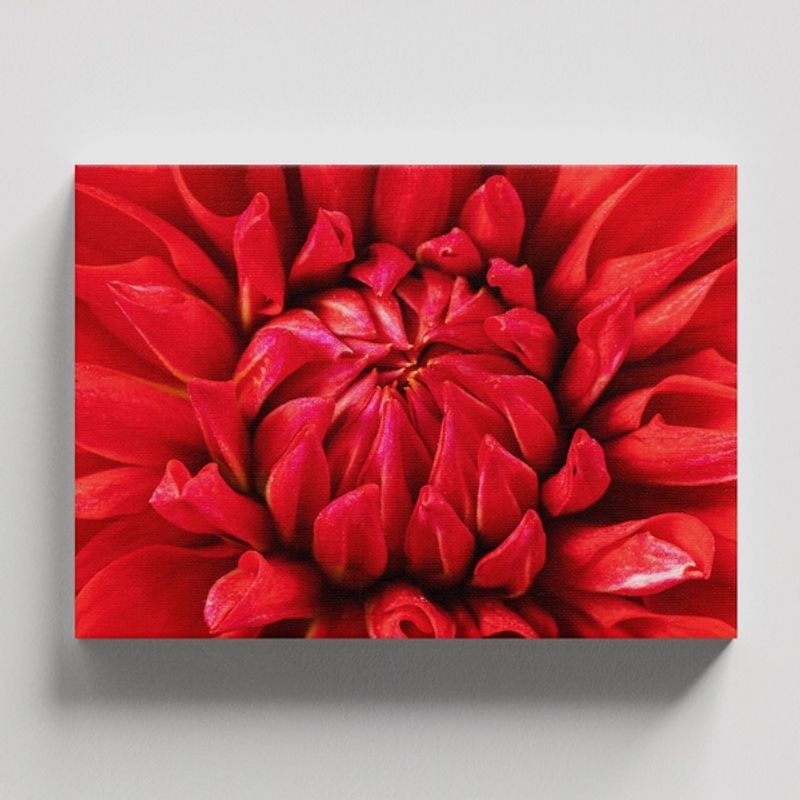 TAYRONA STORE - Cuadros Retablo Flores Y Plantas 186 - 50x35cm
