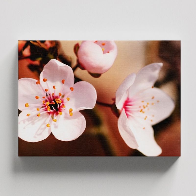 TAYRONA STORE - Cuadros Retablo Flores Y Plantas 191 - 50x35cm