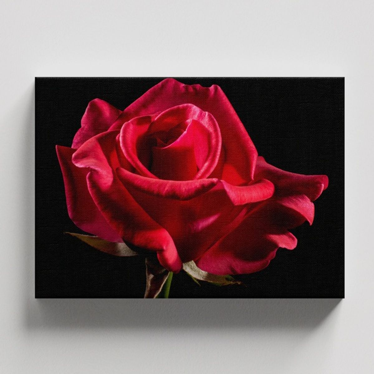 TAYRONA STORE - Cuadros Retablo Flores Y Plantas 197 - 50x35cm